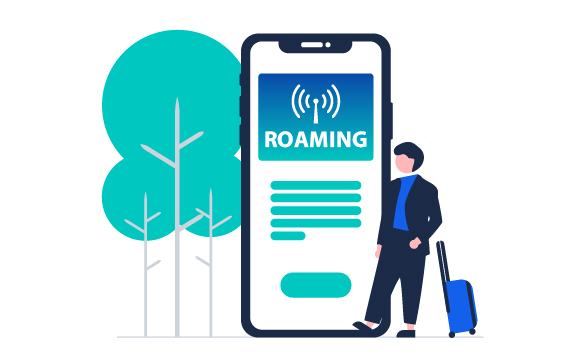 海外ローミングとの比較