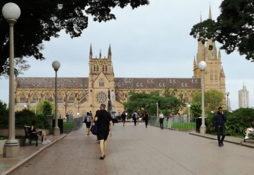 教育機関（学校法人）