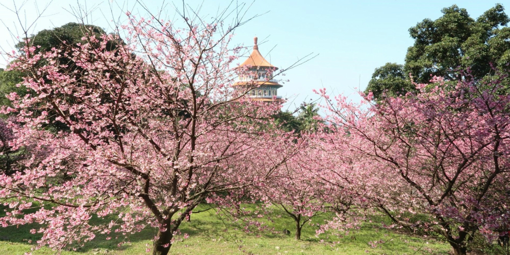 台湾の春3月～5月の気候と服装