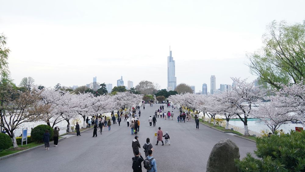 中国観光の定番：玄武湖公園（南京エリア）