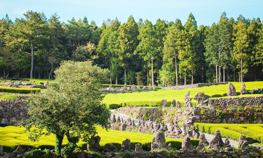 済州島旅行の注意点