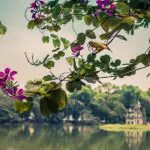 ハノイの魅力とおすすめ観光スポット5選【リピーターが厳選】