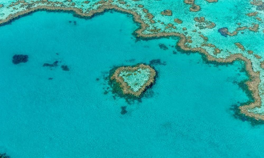オーストラリアの離島おすすめの島：ハミルトン島