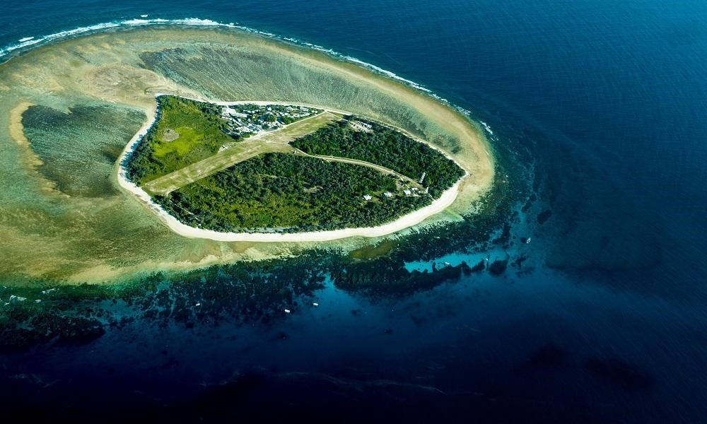 オーストラリアの離島おすすめの島：レディ・エリオット島