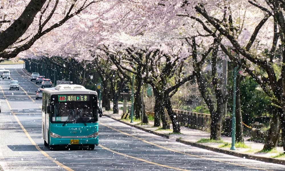 グルメ旅行のベストシーズン