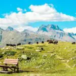 スイスの天気・気温・服装【エリアの特徴とベストシーズンを大解説】